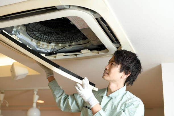 Best Professional Duct Cleaning Services  in Hawkinsville, GA